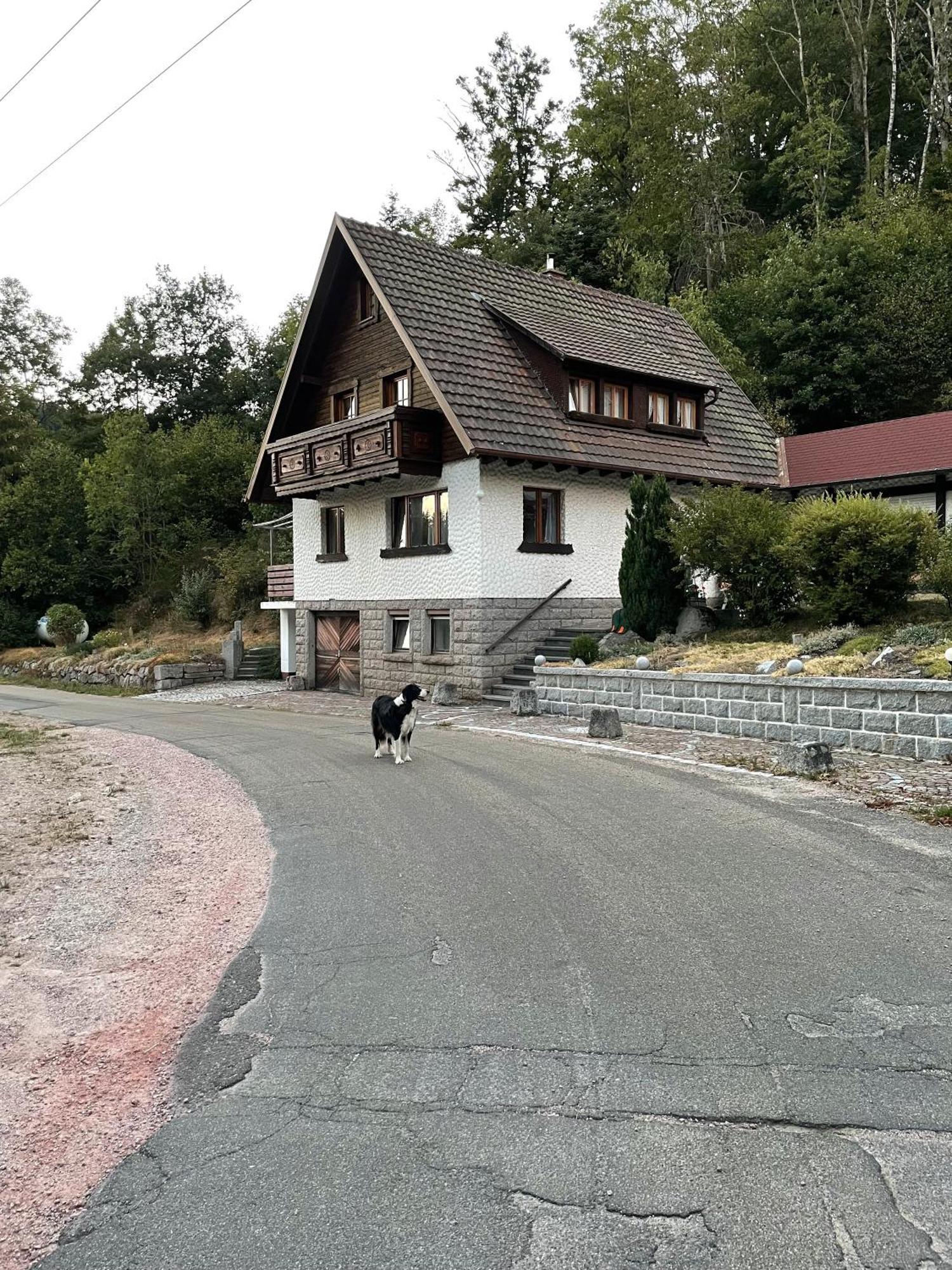 Vila Idyllisches Ferienhaus Im Am Bach Exteriér fotografie