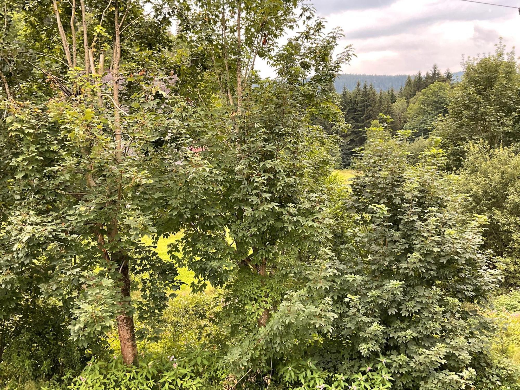 Vila Idyllisches Ferienhaus Im Am Bach Exteriér fotografie